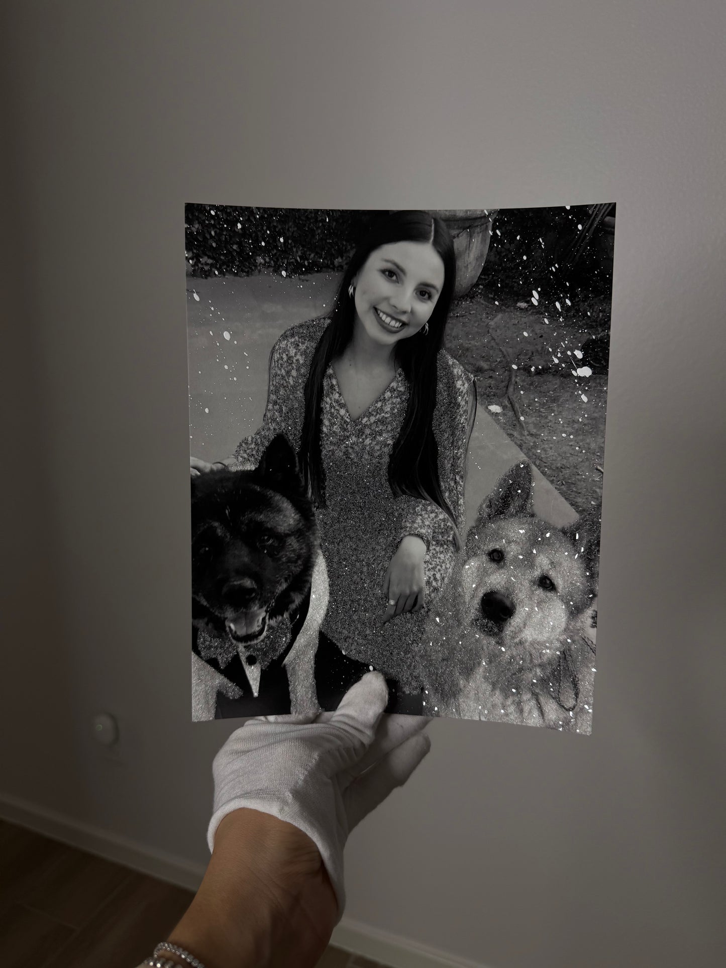 Pet Glittered Photo Prints