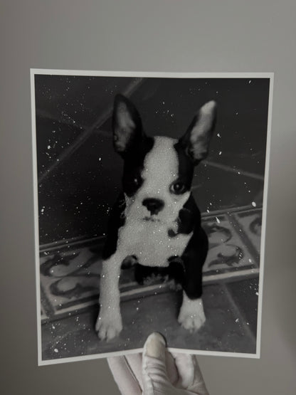 Pet Glittered Photo Prints