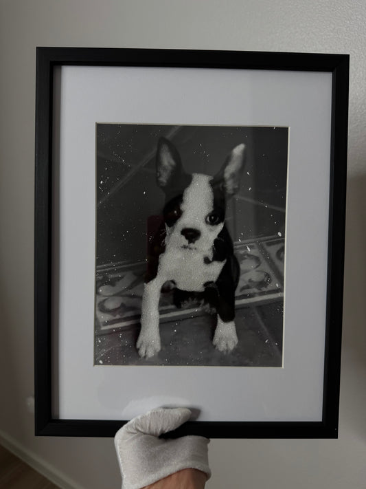 Pet Glittered Photo Prints