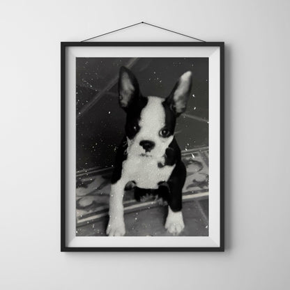 Pet Glitter Photo Prints